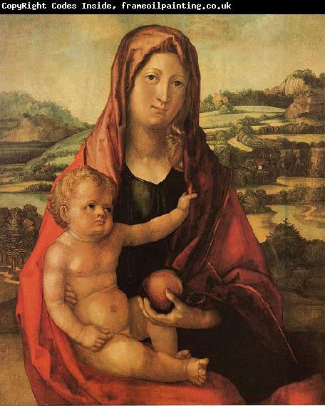 Albrecht Durer Maria mit Kind vor einer Landschaft